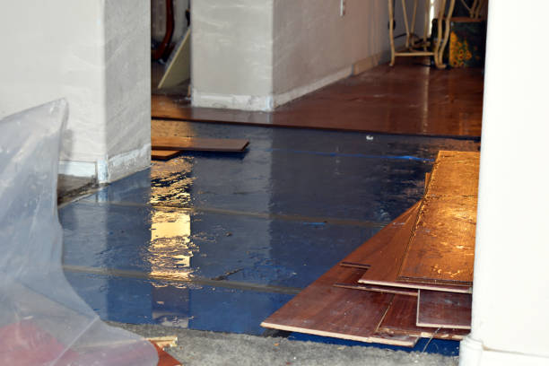 Professional Basement Water Removal technician working in Allen, TX