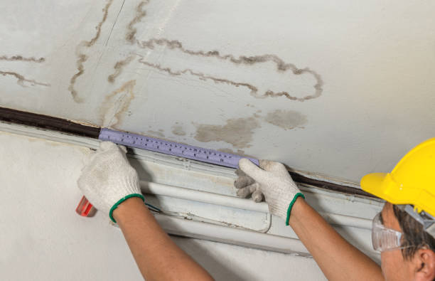 Reliable Basement Water Removal contractor in Allen, TX by Water Damage Irwin
